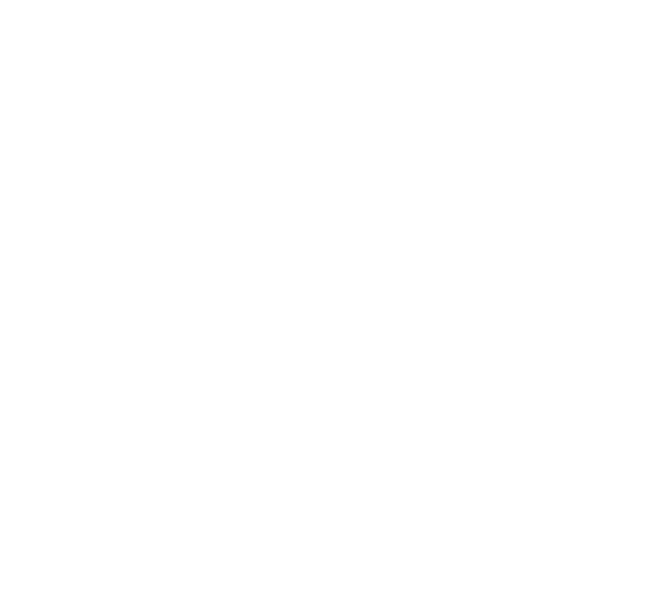 Toptotoes.vn